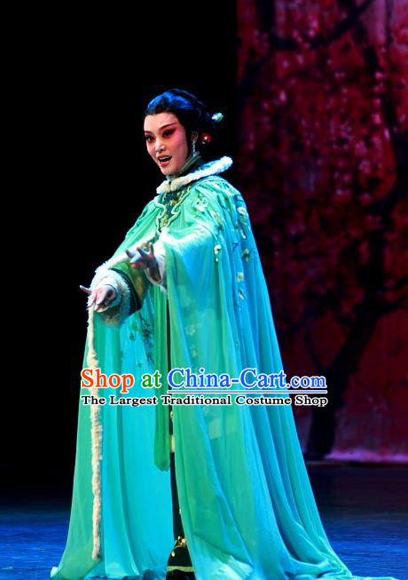 Chinese Beijing Opera Young Female Mei Fen Garment Luo Mei Yin Costumes and Hair Accessories Traditional Peking Opera Mistress Dress Actress Apparels