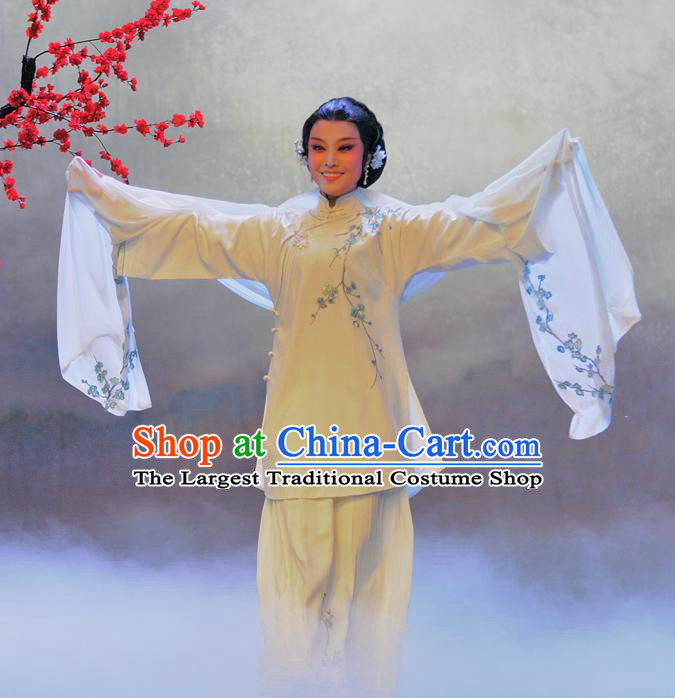 Chinese Beijing Opera Garment Luo Mei Yin Costumes and Hair Accessories Traditional Peking Opera Young Female Dress Diva Mei Fen Apparels