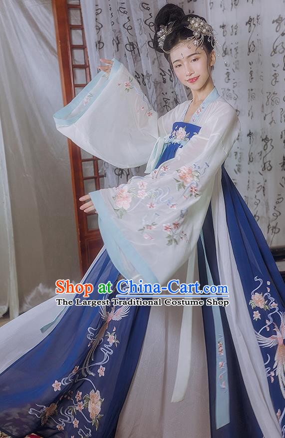 Chinese Traditional Embroidered Hanfu Dress Ancient Court Lady Garment Tang Dynasty Imperial Consort Historical Costumes for Women