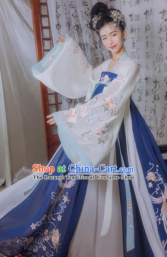 Chinese Traditional Embroidered Hanfu Dress Ancient Court Lady Garment Tang Dynasty Imperial Consort Historical Costumes for Women