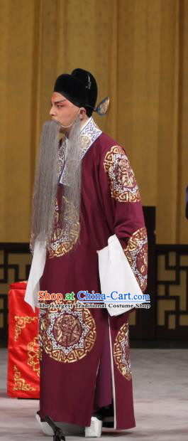 Jin Yunu Chinese Peking Opera Elderly Male Apparels Costumes and Headpieces Beijing Opera Official Garment Laosheng Lin Run Clothing