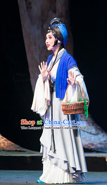 Chinese Sichuan Opera Country Woman Du Juan Costumes and Hair Accessories Hui Lan Ji Traditional Peking Opera Diva Dress Young Female Apparels