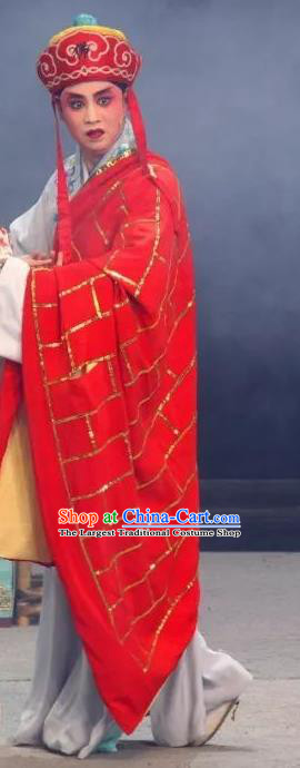 The Legend of White Snake Chinese Sichuan Opera Monk Xu Xian Apparels Costumes and Headpieces Peking Opera Xiaosheng Garment Young Male Clothing