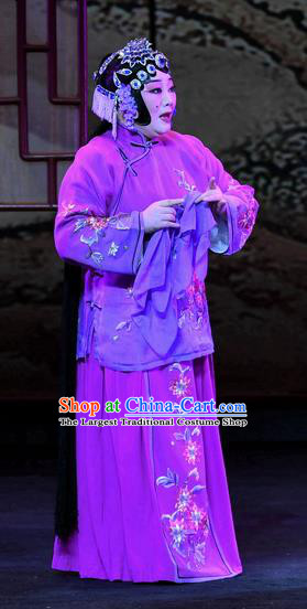 Chinese Ping Opera Elderly Female Apparels Costumes and Headpieces Zhao Jintang Traditional Pingju Opera Aunt Song Dress Garment