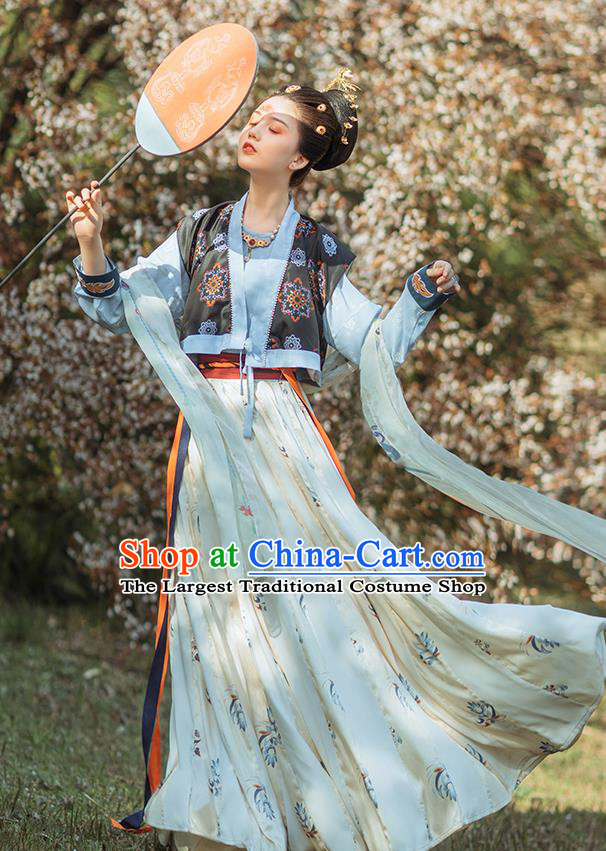 Chinese Ancient Court Lady Hanfu Dress Traditional Tang Dynasty Royal Princess Garment Historical Costumes for Women