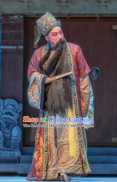 Bao En Ji Chinese Sichuan Opera Prefect Wen Datong Apparels Costumes and Headpieces Peking Opera Elderly Male Garment Laosheng Clothing