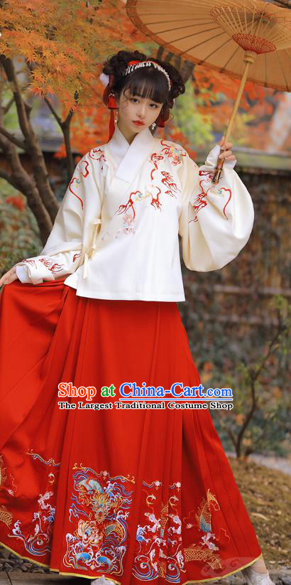 Chinese Ancient Nobility Lady Historical Costumes Ming Dynasty Garment Traditional Embroidered Hanfu Dress