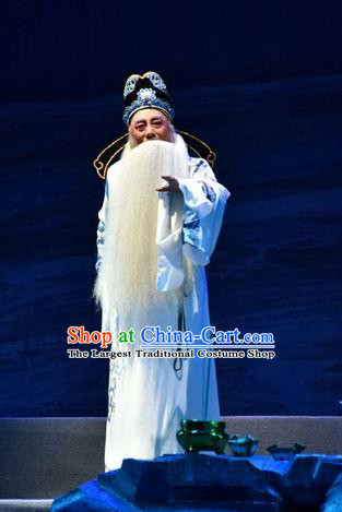 Fenyang King Chinese Shanxi Opera Laosheng Apparels Costumes and Headpieces Traditional Jin Opera Elderly Male Garment Hero Guo Ziyi Clothing