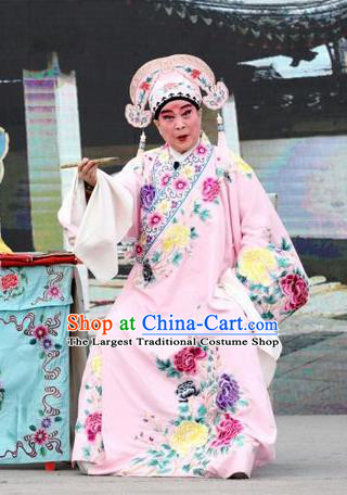 Shuang Luo Shan Chinese Shanxi Opera Young Male Apparels Costumes and Headpieces Traditional Jin Opera Xiaosheng Garment Scholar Xu Jizu Clothing