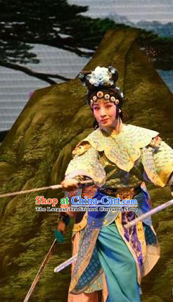 Chinese Jin Opera Wudan Garment Costumes and Headdress The Lotus Lantern Traditional Shanxi Opera Martial Lady Apparels Dress