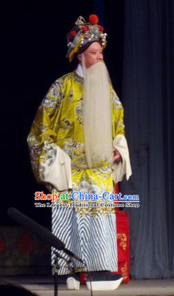 The Romance of Hairpin Chinese Qu Opera Laosheng Apparels Costumes and Headpieces Traditional Henan Opera Elderly Male Garment Governor Qian Zaihe Clothing