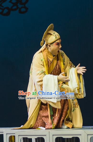 Jin Lian Chinese Hubei Hanchu Opera Young Male Apparels Costumes and Headpieces Traditional Han Opera Childe Garment Merchant Ximen Qing Clothing