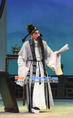 The Peony Pavilion Chinese Guangdong Opera Laosheng Apparels Costumes and Headpieces Traditional Cantonese Opera Elderly Male Garment Prefecture Du Bao Clothing