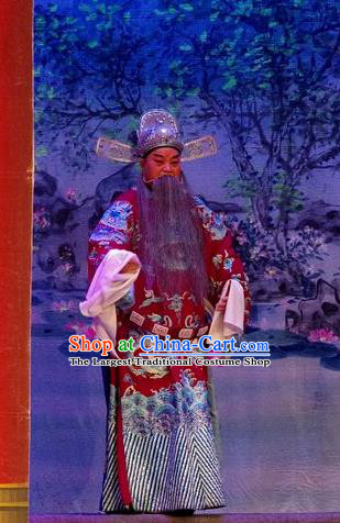 Qian Tang Su Xiaoxiao Chinese Guangdong Opera Laosheng Apparels Costumes and Headpieces Traditional Cantonese Opera Elderly Male Garment Official Ruan Shaoye Clothing