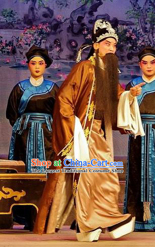 Qian Tang Su Xiaoxiao Chinese Guangdong Opera Elderly Male Apparels Costumes and Headpieces Traditional Cantonese Opera Laosheng Garment Lord Ruan Shaoye Clothing