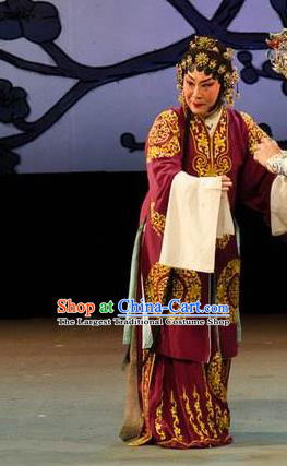 Chinese Cantonese Opera Elderly Female Garment Yuan Yang Sword Costumes and Headdress Traditional Guangdong Opera Dame Apparels Pantaloon Dress