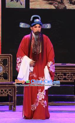 The Lotus Lantern Chinese Guangdong Opera Elderly Male Apparels Costumes and Headpieces Traditional Cantonese Opera Garment Laosheng Liu Yanchang Clothing