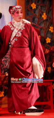 Love in the Red Plum Chinese Guangdong Opera Xiaosheng Apparels Costumes and Headwear Traditional Cantonese Opera Niche Garment Scholar Pei Yu Clothing