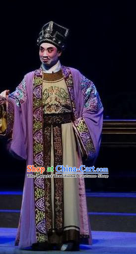 Zi Yun Chinese Guangdong Opera Rich Male Apparels Costumes and Headwear Traditional Cantonese Opera Merchant Garment Landlord Clothing