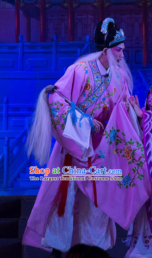 Wu Suo Dong Gong Chinese Guangdong Opera Eunuch Apparels Costumes and Headwear Traditional Cantonese Opera Palace Servant Garment Clothing