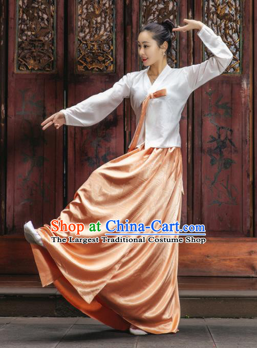 Handmade Chinese Classical Dance Clothing Traditional Korean Nationality Dance White Blouse and Orange Dress