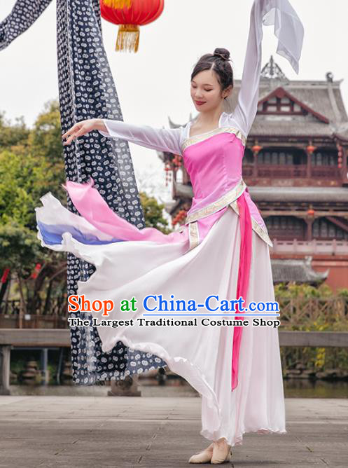 Traditional China Classical Dance Clothing Stage Show Costumes Pink Blouse and Skirt Outfits