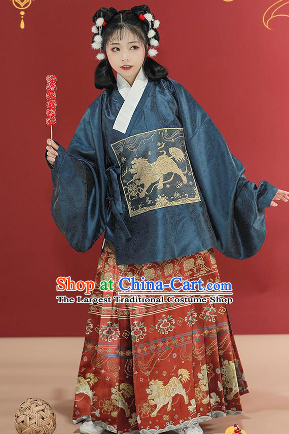 China Traditional Hanfu Dress Embroidered Clothing Ancient Ming Dynasty Winter Historical Costume for Patrician Lady