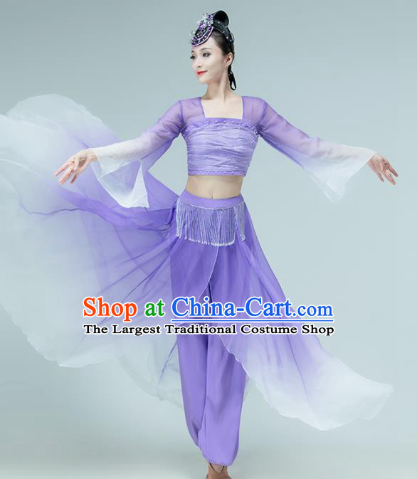 Professional Chinese Classical Dance Performance Clothing Fan Dance Violet Outfits