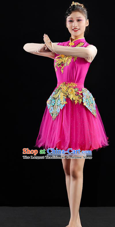 China Modern Dance Clothing Jazz Dance Rosy Dress Spring Festival Gala Performance Outfits