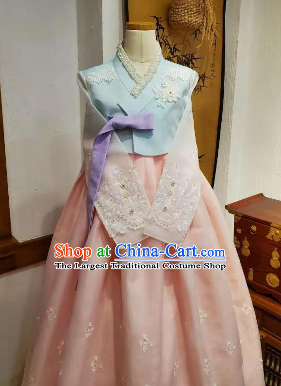 Asian Korea Bride Blue Blouse and Pink Dress Garments Traditional Fashion Korean Wedding Hanbok Clothing