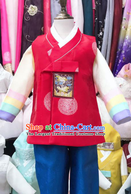 Korean Traditional Stage Performance Hanbok Clothing Children Boy Garment Costume Prince Outfits