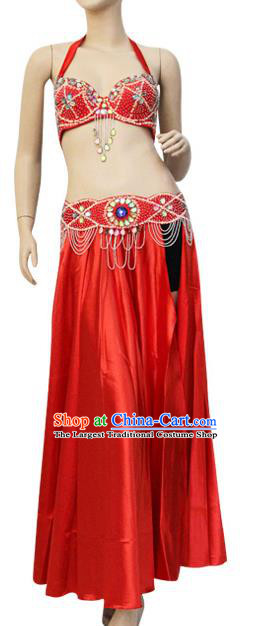 Asian Oriental Dance Bra and Skirt Indian Raks Sharki Performance Red Uniforms Professional Belly Dance Performance Costumes