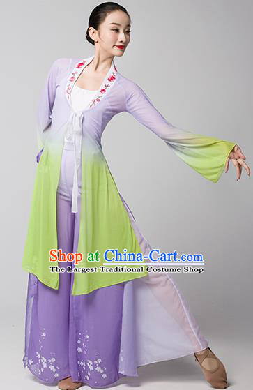 Top Chinese Traditional Stage Performance Clothing Classical Dance Lilac Dress Woman Group Fan Dance Garment Costume