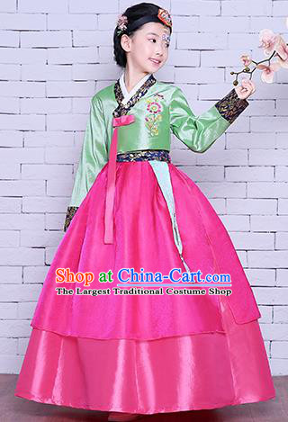 Korea Girl Princess Embroidered Green Blouse and Rosy Dress Korean Children Court Garment Costumes Asian Traditional Hanbok Clothing