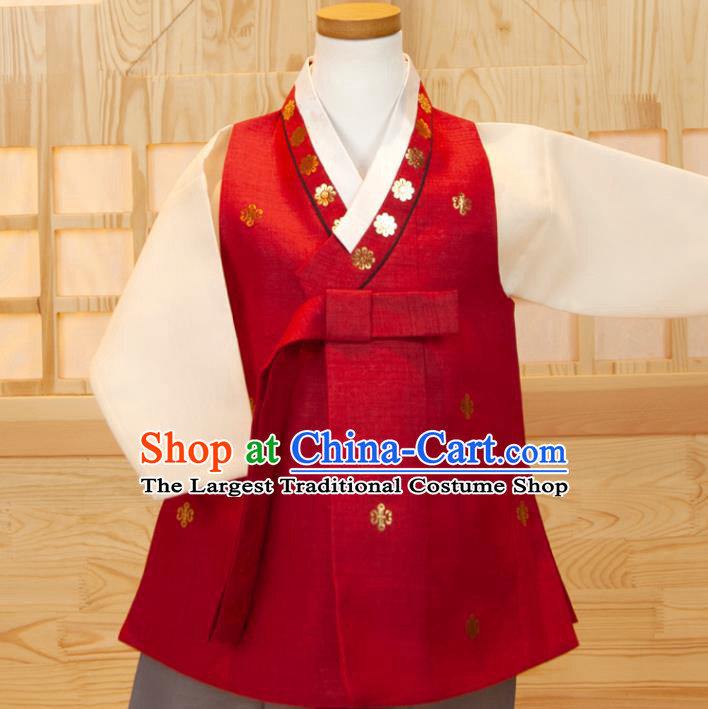 Korea Children Garment Costumes Boys Birthday Hanbok Korean Traditional Fashion Clothing Red Vest White Shirt and Grey Pants