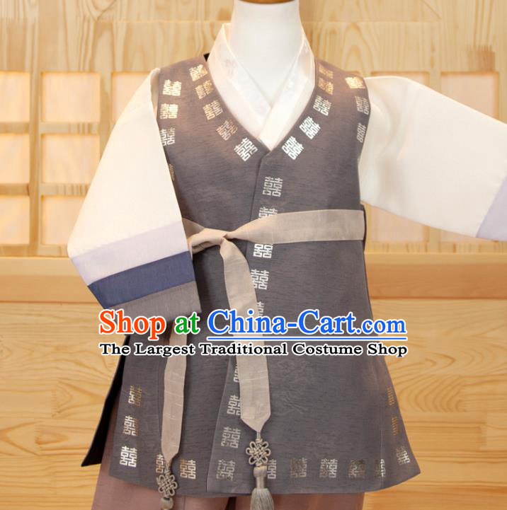 Korean Boys Prince Birthday Hanbok Traditional Fashion Clothing Grey Vest White Shirt and Brown Pants Korea Children Garment Costumes