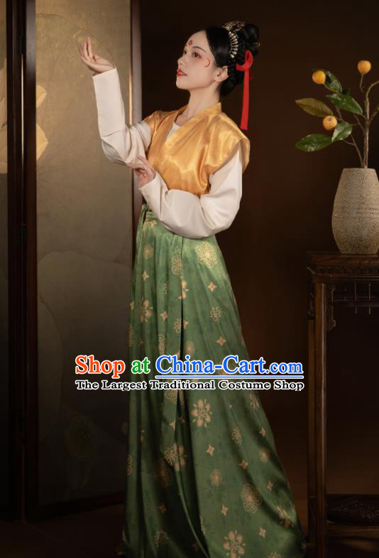 China Ancient Palace Lady Historical Clothing Tang Dynasty Young Beauty Hanfu Dress for Women