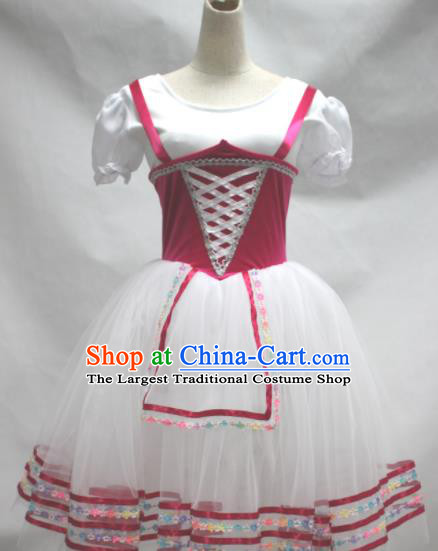 Professional Girl Dancewear Ballet Dance Garment Costume Tu Tu Dance White Veil Dress Children Modern Dance Clothing