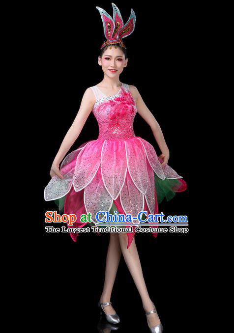 Professional China Modern Dance Clothing Opening Dance Pink Dress Women Group Dance Costume Lotus Dance Garments