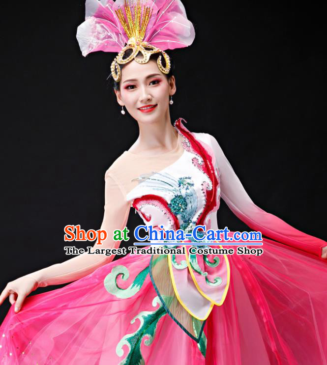 Professional Women Group Dance Fashion Peony Dance Performance Costume Modern Dance Pink Dress Opening Dance Garment