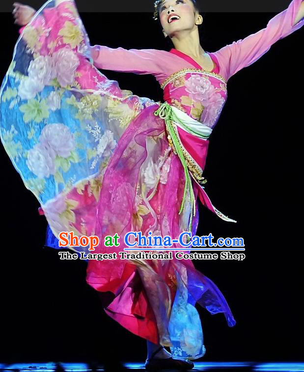 Chinese Classical Dance Garment Costumes Beauty Stage Performance Rosy Dress Outfits Woman Hanfu Dance Clothing