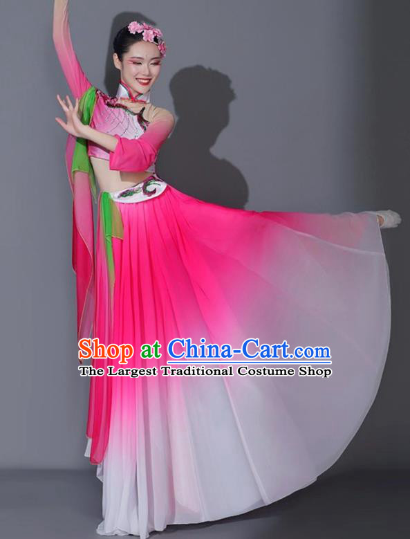 Chinese Fan Dance Dress Woman Solo Dance Pink Outfit Classical Dance Clothing Stage Performance Costume