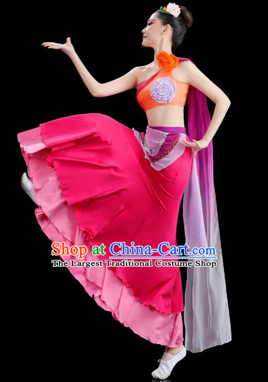 Chinese Stage Performance Fashion Classical Dance Clothing Woman Solo Dance Pink Dress Peacock Dance Costume