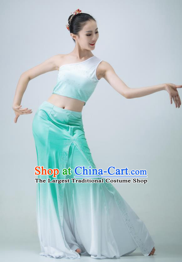 Chinese Stage Performance Garment Peacock Dance Clothing Dai Nationality Pavane Costume Classical Dance Green Dress