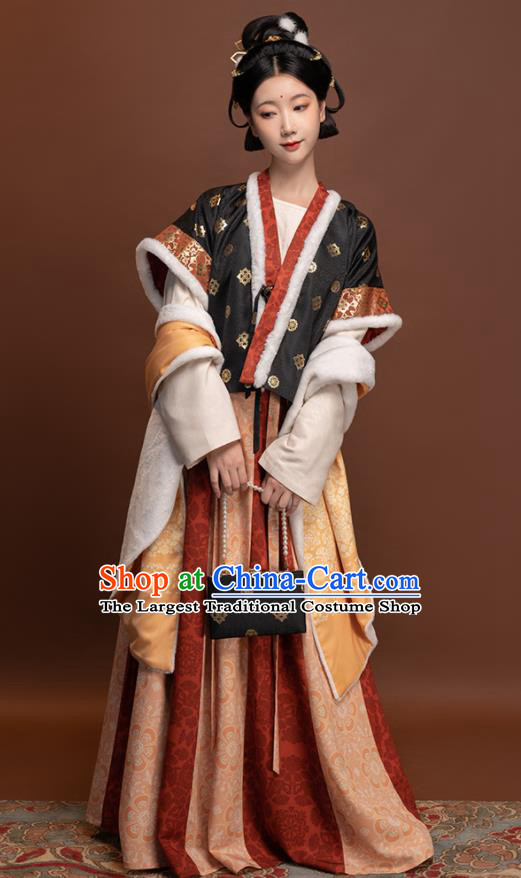 Chinese Ancient Palace Lady Clothing Winter Traditional Hanfu Dresses Tang Dynasty Young Beauty Garment Costumes