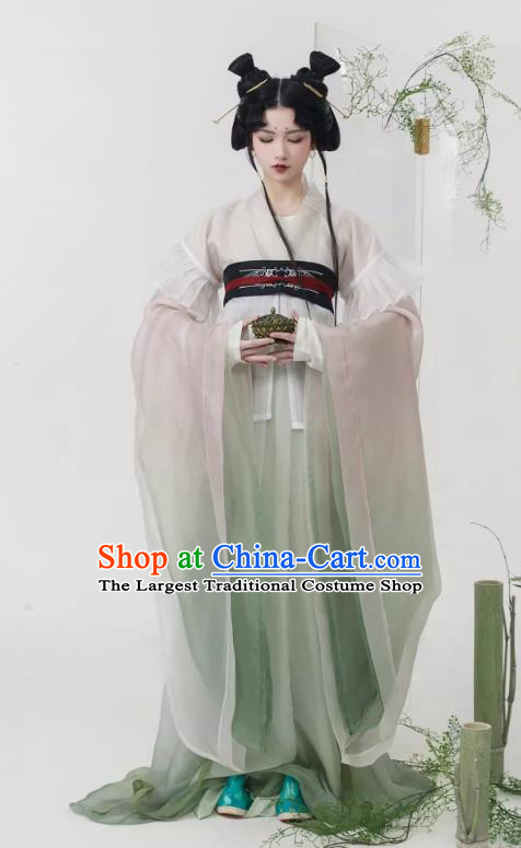 China Ancient Palace Lady Costumes Traditional Southern and Northern Dynasties Hanfu Dresses Complete Set