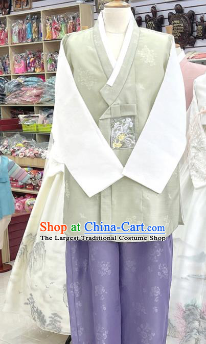 Traditional Groom Hanbok Green Shirt and Purple Pants Korean Embroidered Male Costumes Wedding Clothing