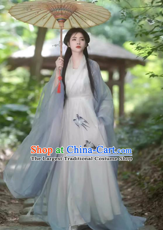 China Ancient Fairy Clothing Southern and Northern Dynasties Woman Costumes Traditional Hanfu Wide Sleeve Dress