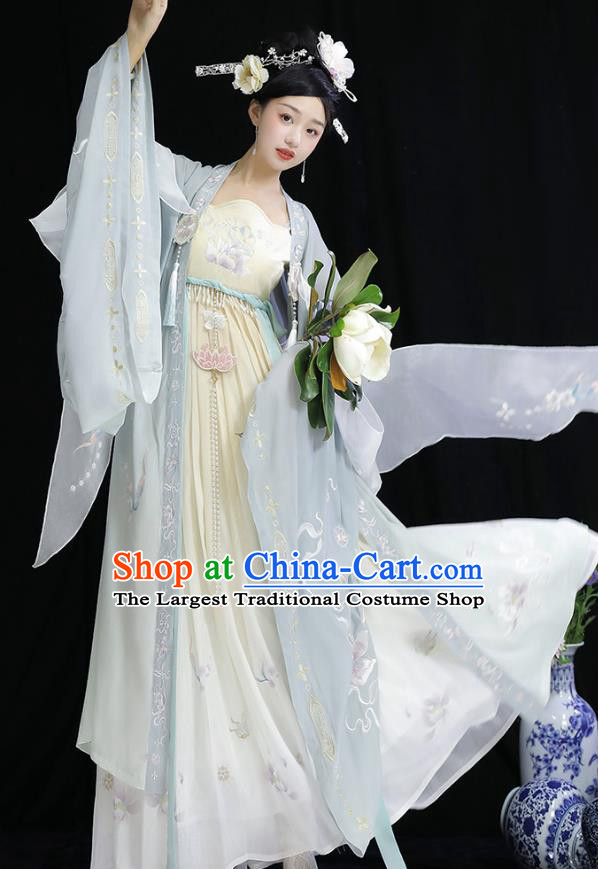 China Embroidered Hanfu Clothing Tang Dynasty Imperial Consort Dresses Ancient Court Woman Garment Costumes