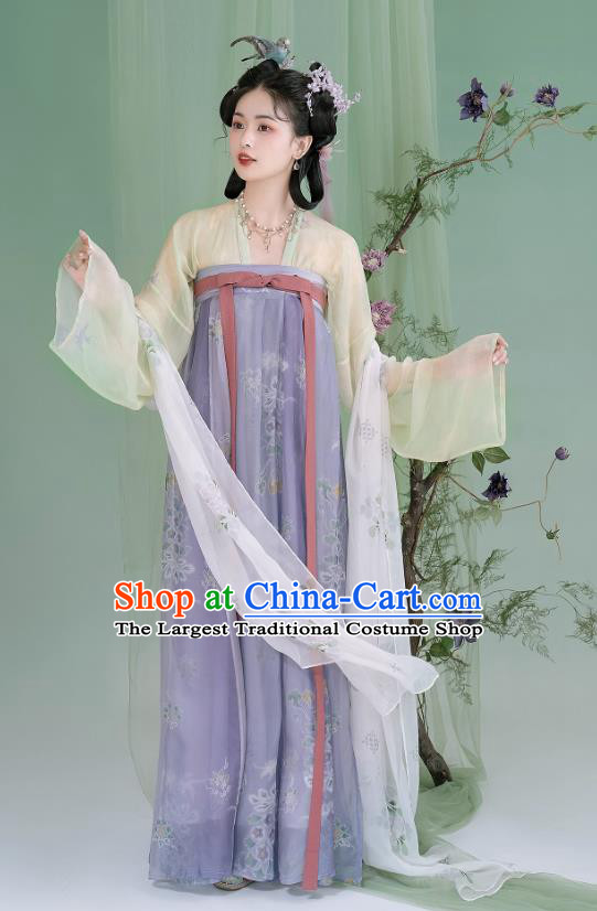 China Ancient Young Lady Dresses Tang Dynasty Court Princess Clothing Traditional Costumes Woman Hanfu